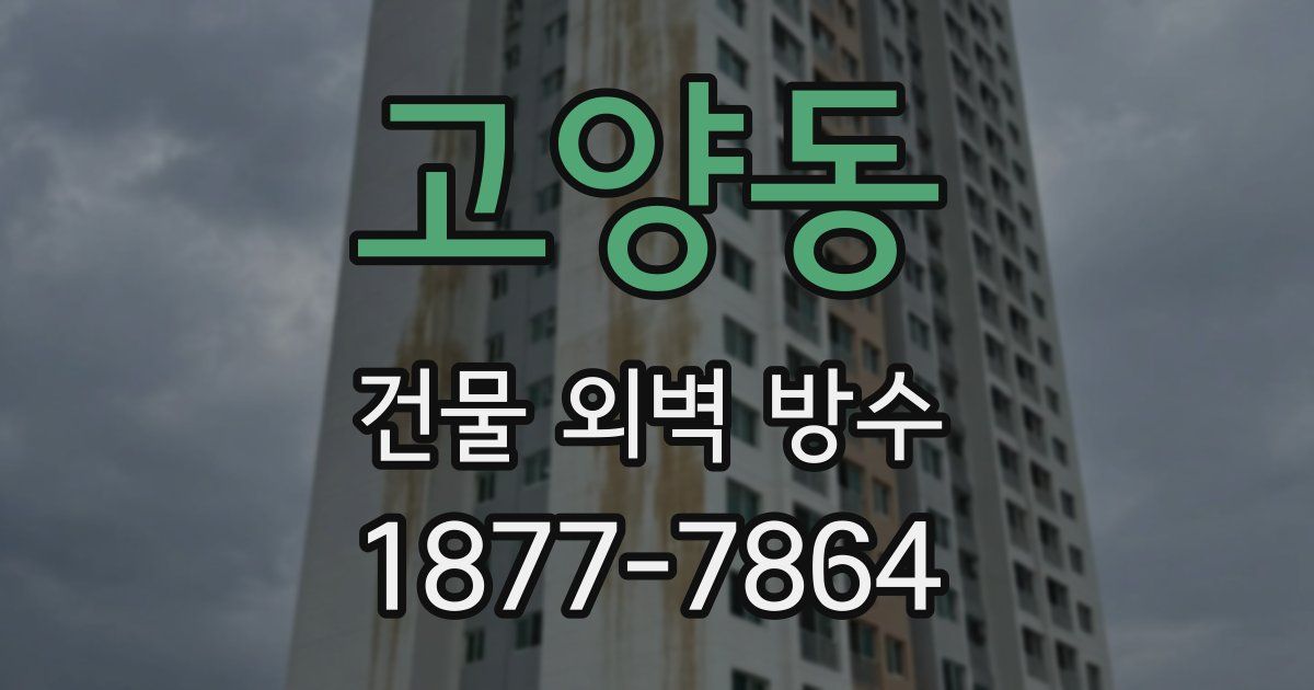 고양동 건물 외벽 방수