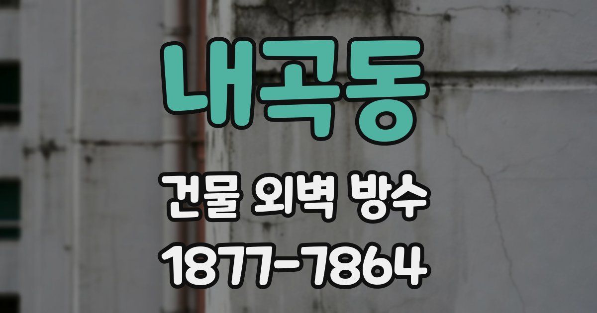 내곡동 건물 외벽 방수