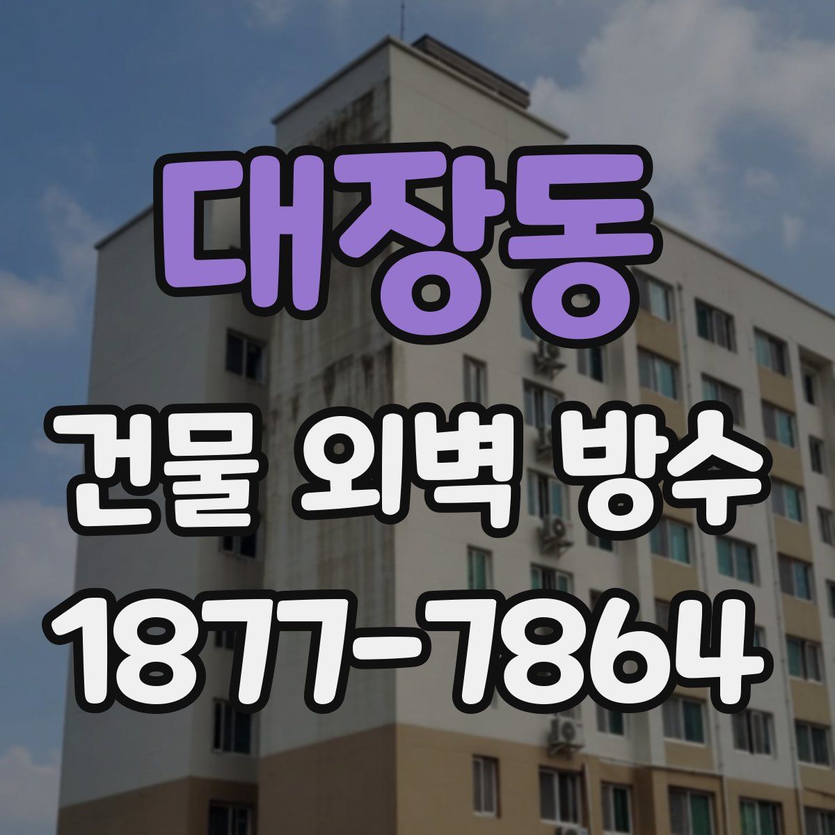 대장동 건물 외벽 방수