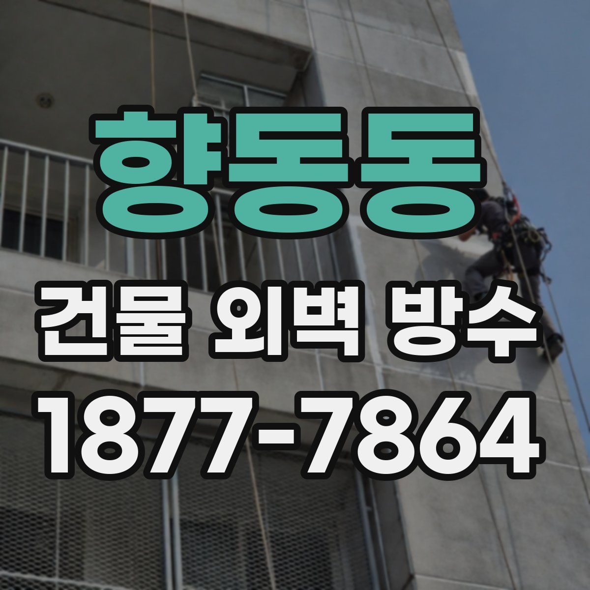 향동동 건물 외벽 방수