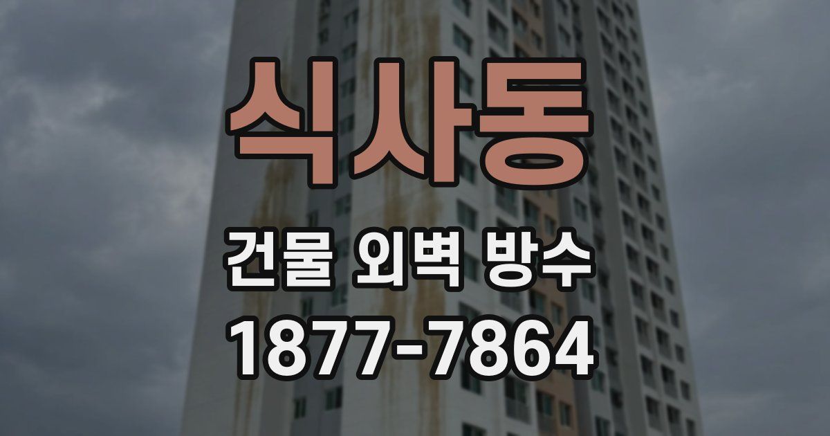 식사동 건물 외벽 방수