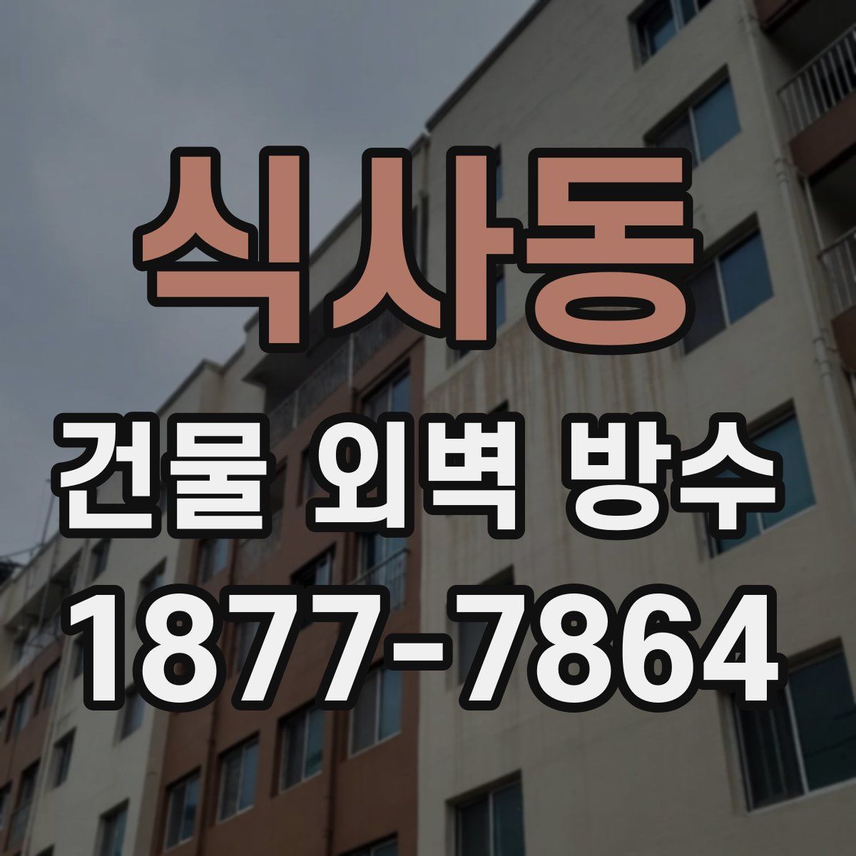 식사동 건물 외벽 방수