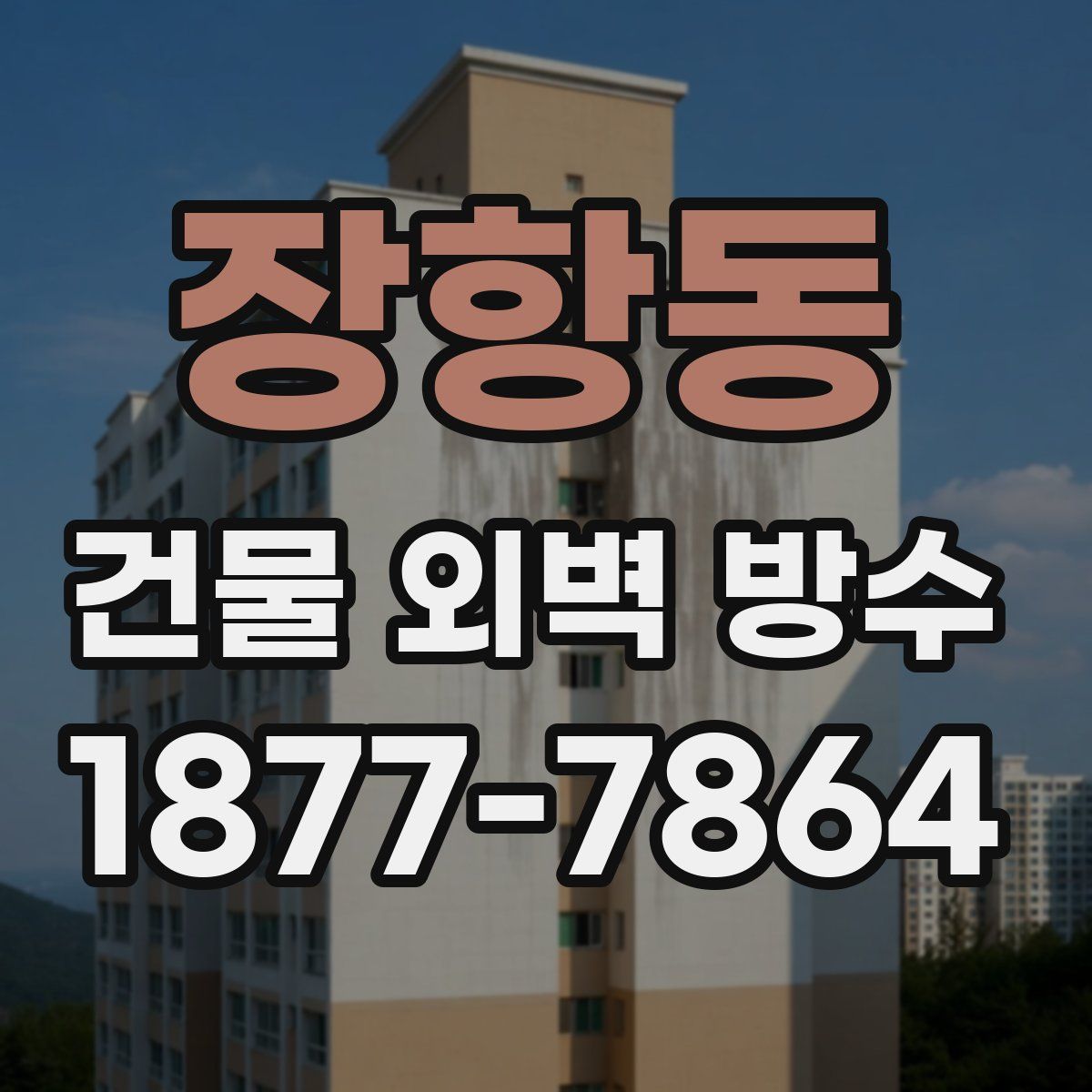 장항동 건물 외벽 방수