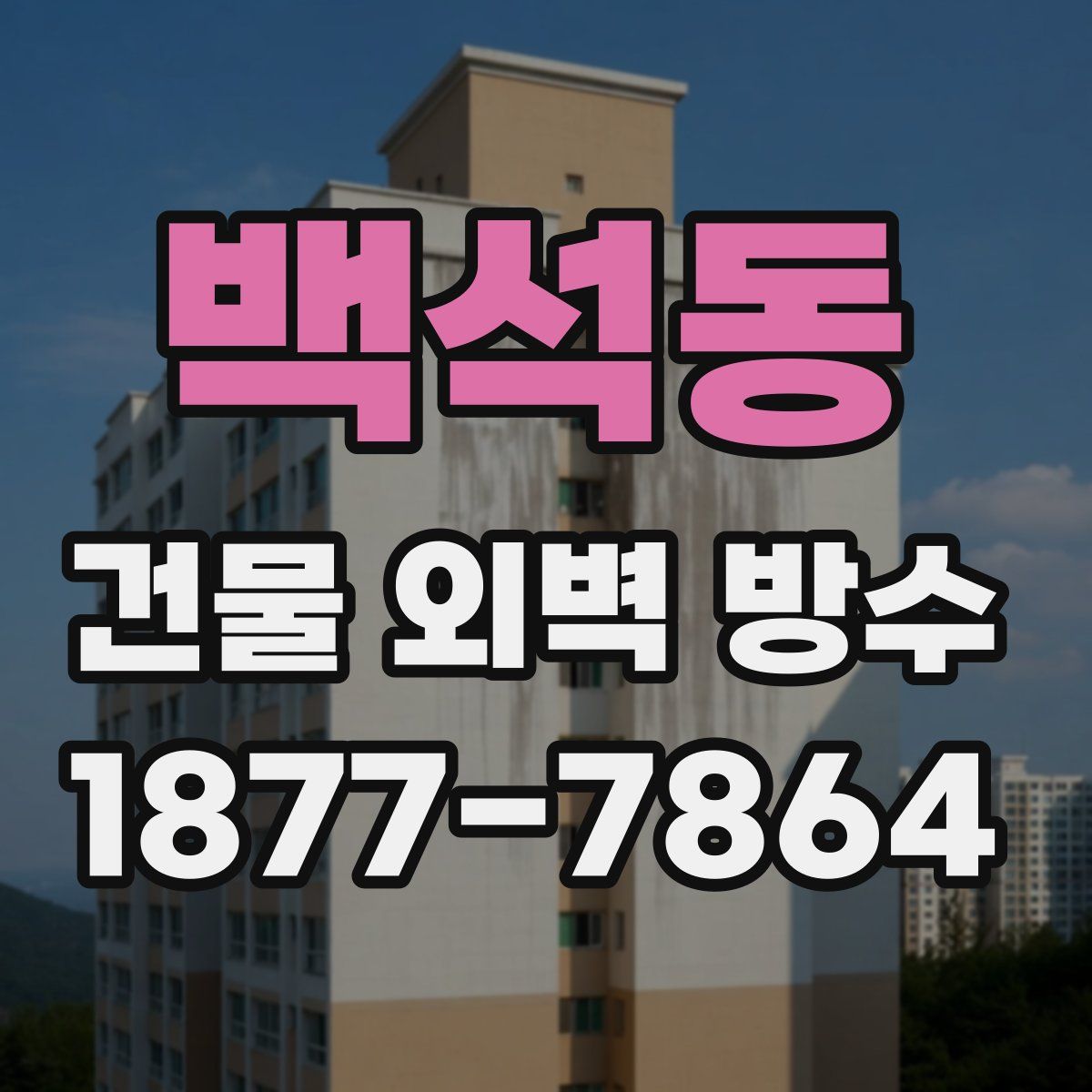 백석동 건물 외벽 방수