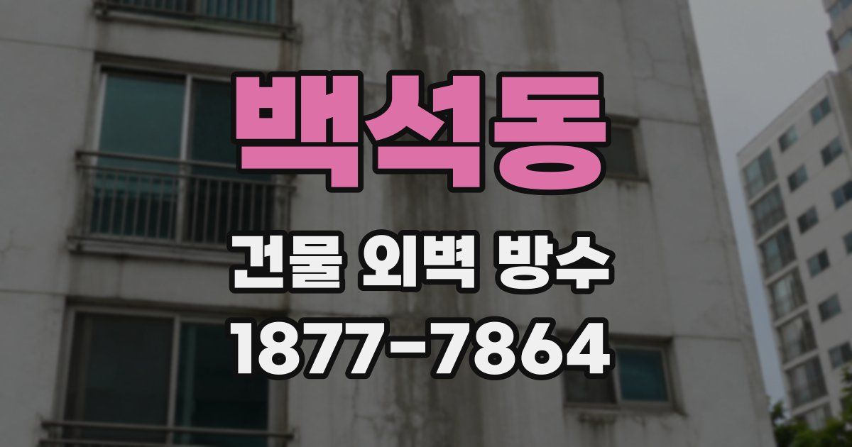 백석동 건물 외벽 방수