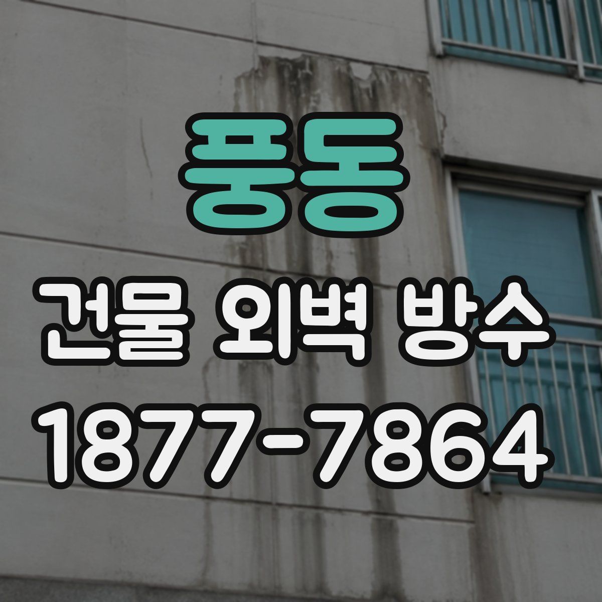 풍동 건물 외벽 방수