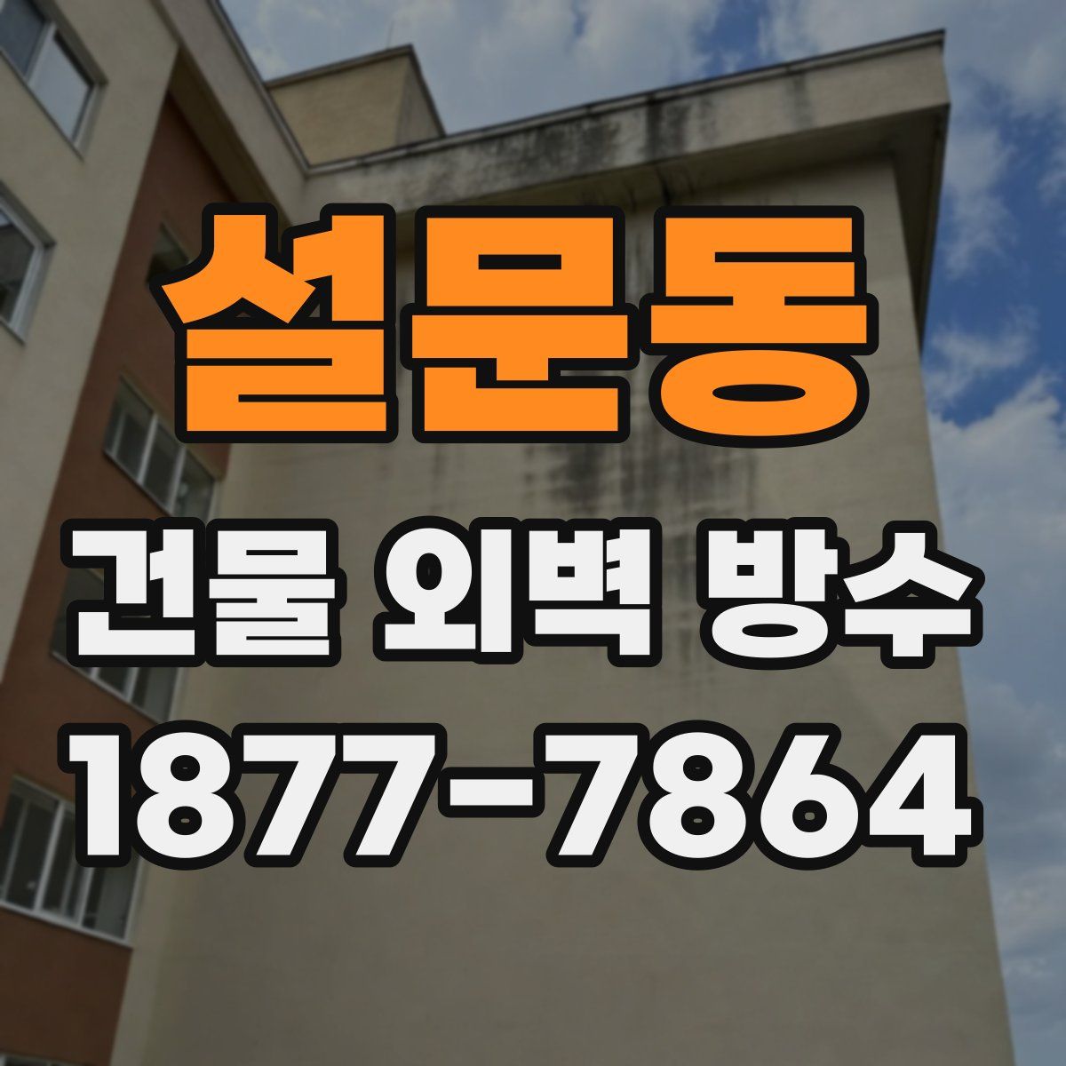 설문동 건물 외벽 방수