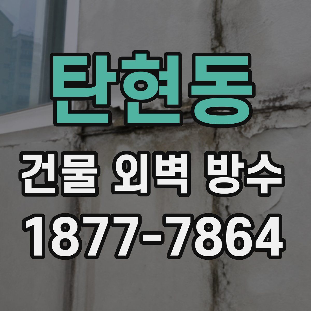 탄현동 건물 외벽 방수
