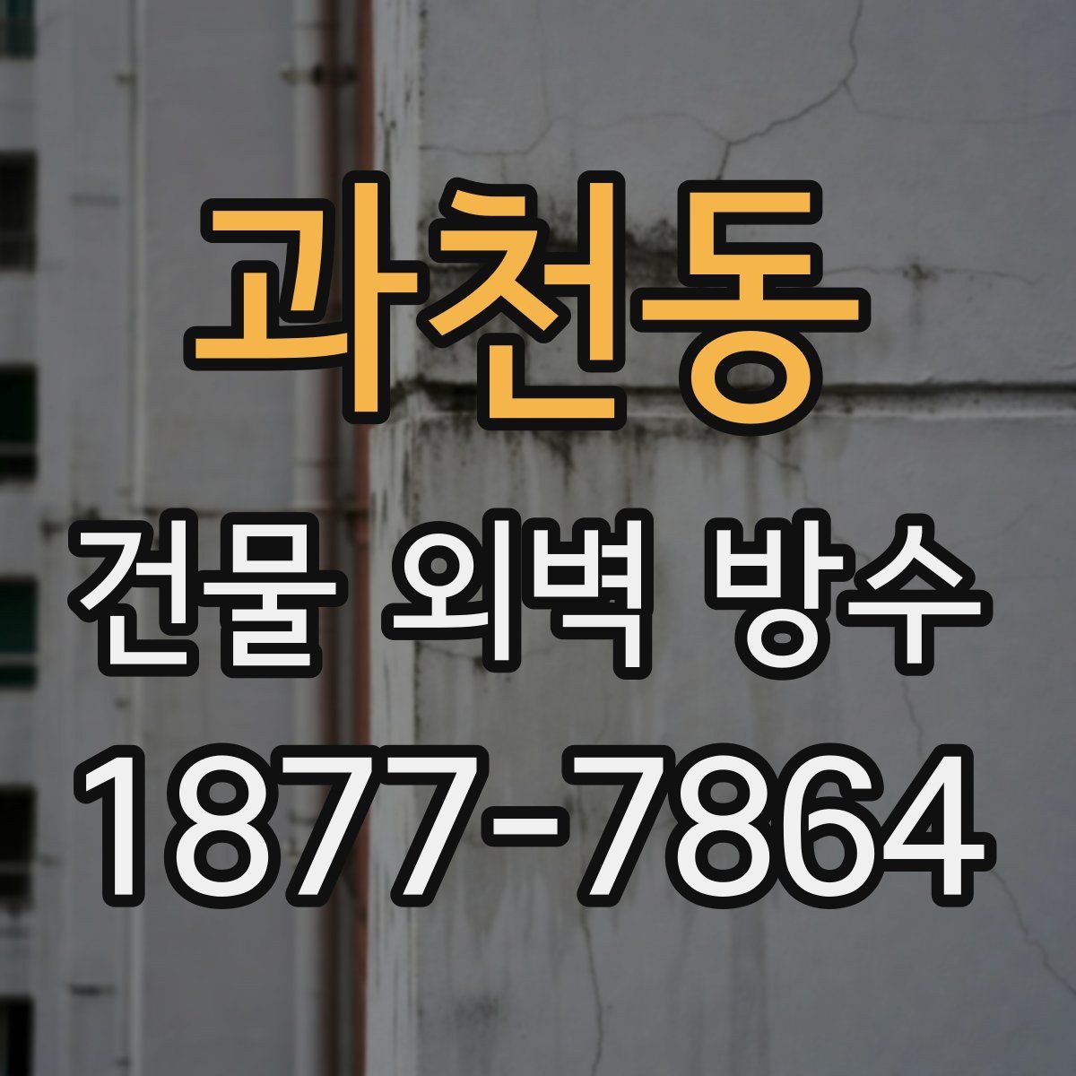 과천동 건물 외벽 방수