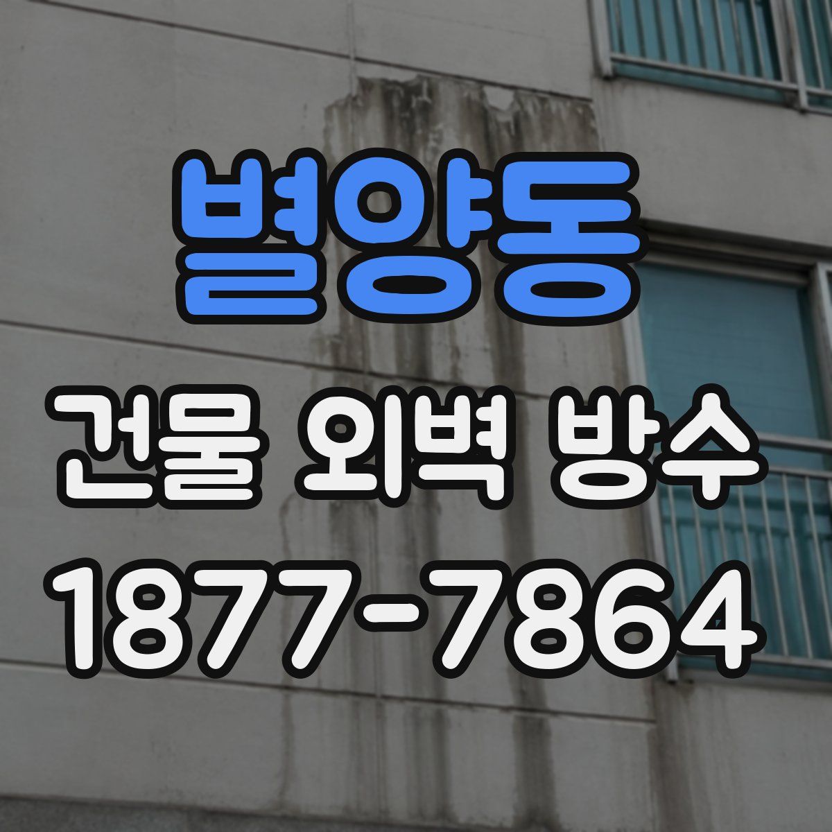 별양동 건물 외벽 방수