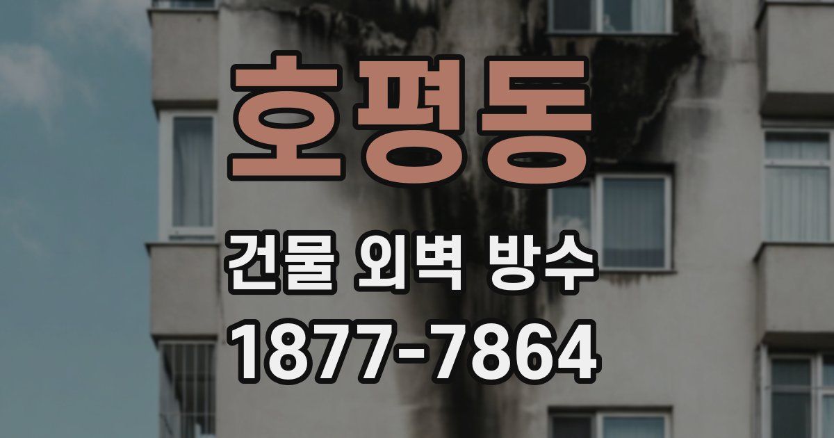 호평동 건물 외벽 방수