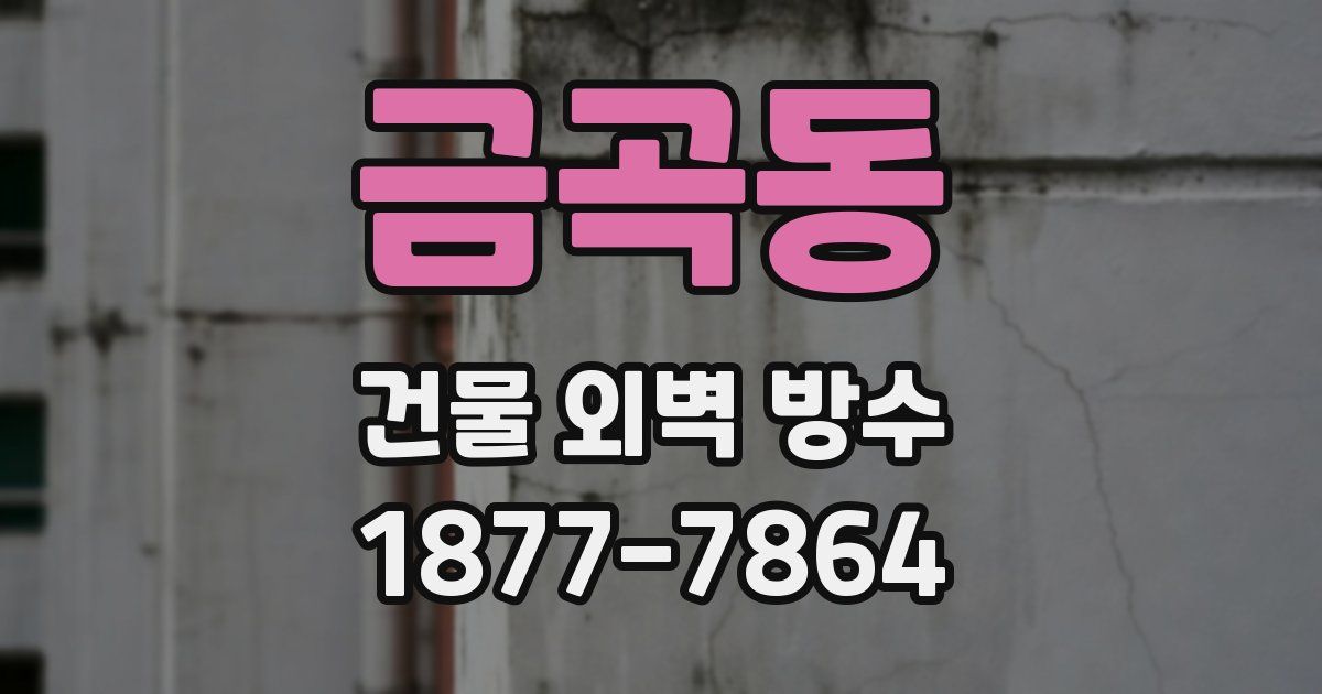 금곡동 건물 외벽 방수