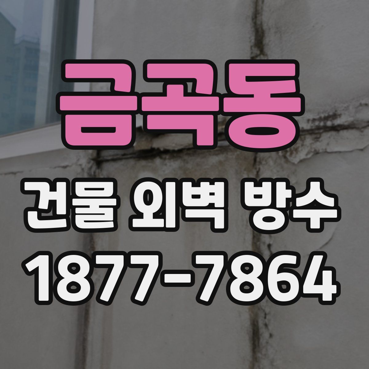 금곡동 건물 외벽 방수