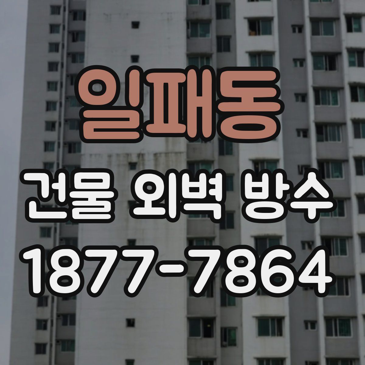 일패동 건물 외벽 방수