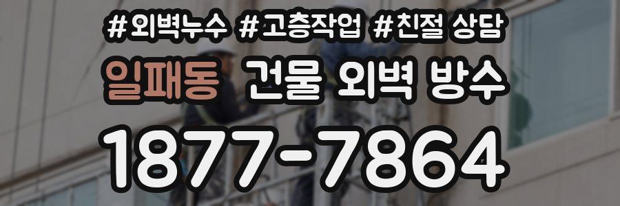 일패동 건물 외벽 방수