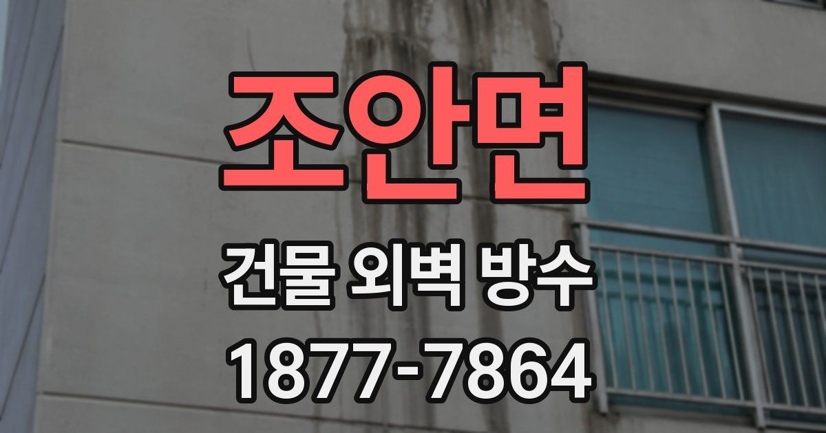 조안면 건물 외벽 방수