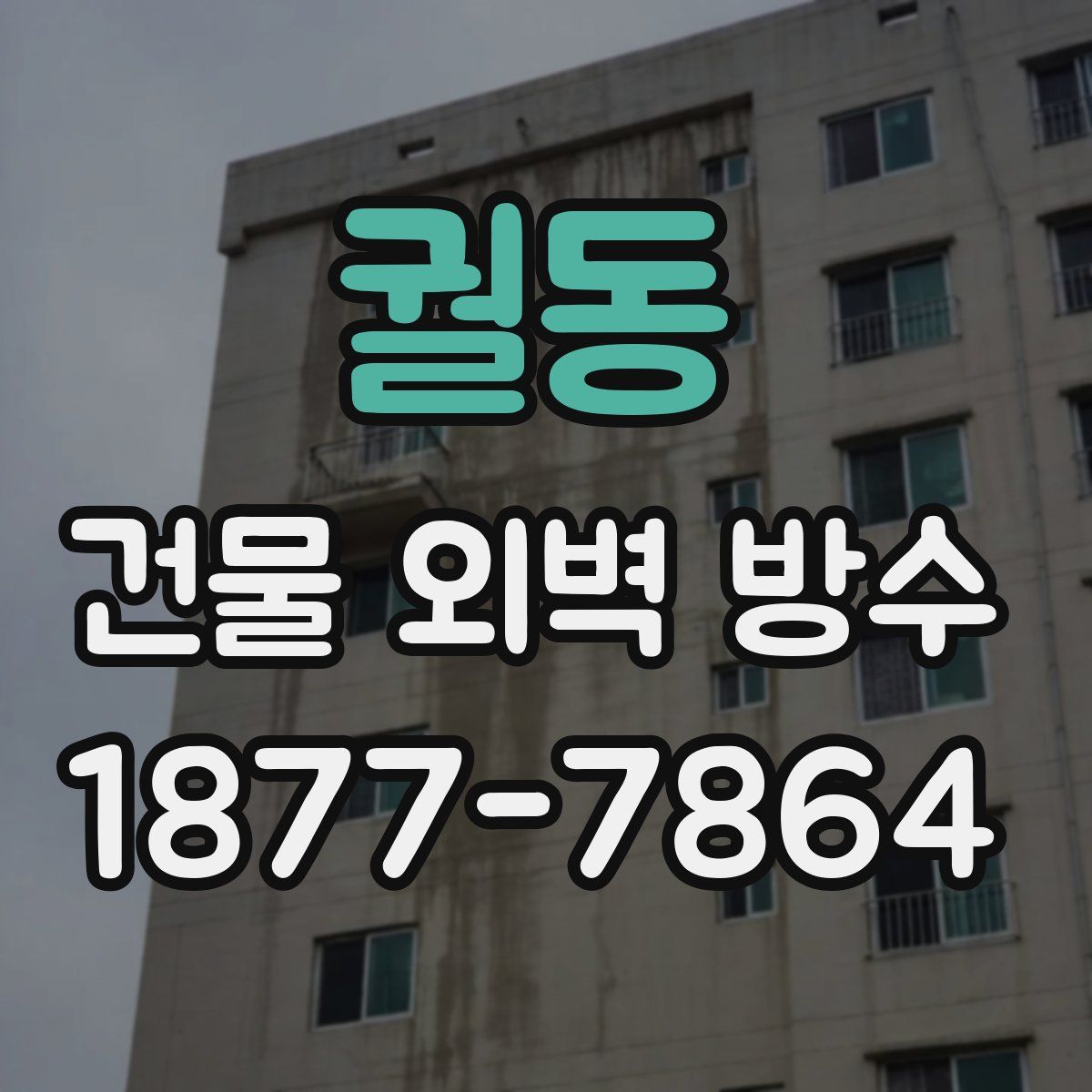 궐동 건물 외벽 방수
