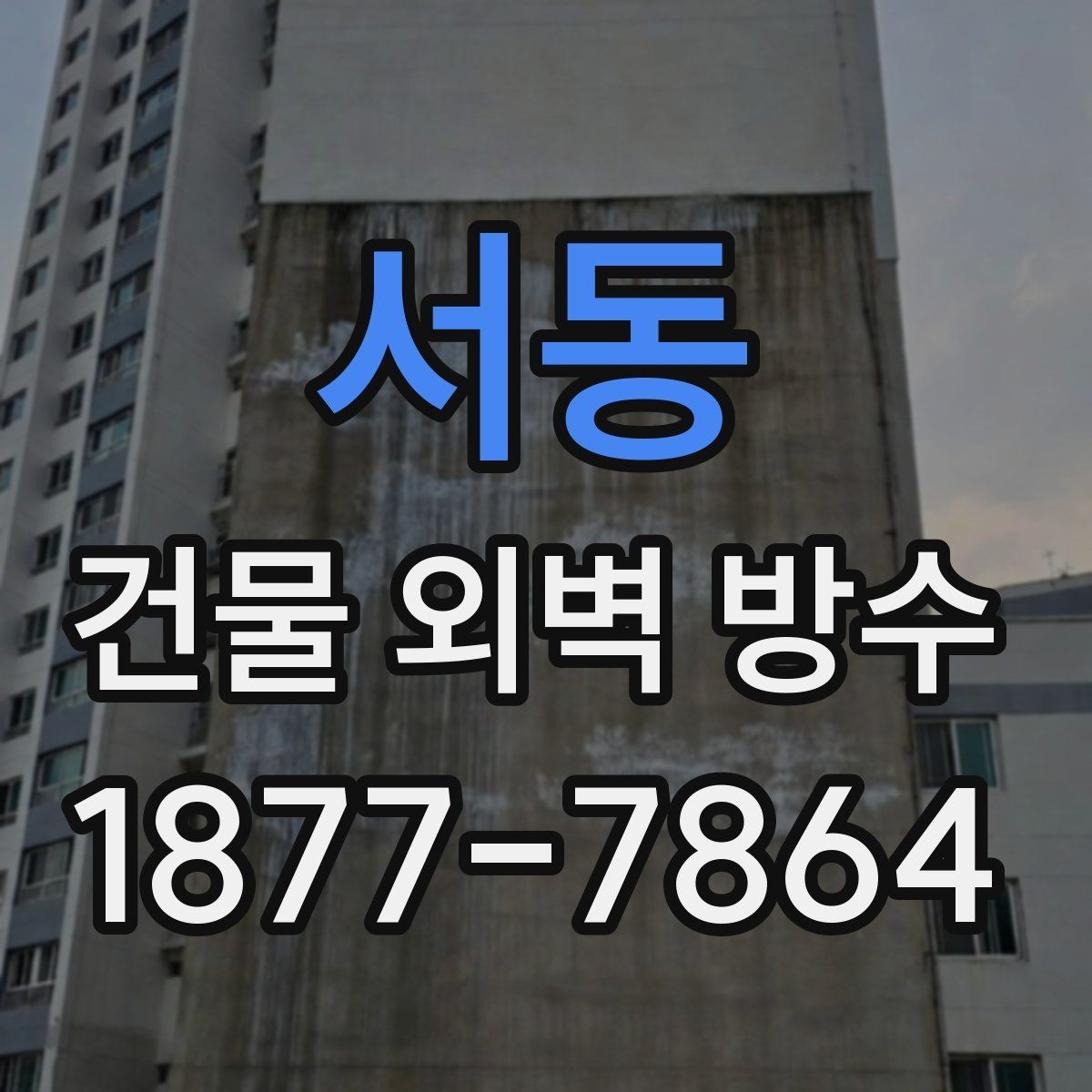 서동 건물 외벽 방수 업체 후기 볼 때 확인할 부분