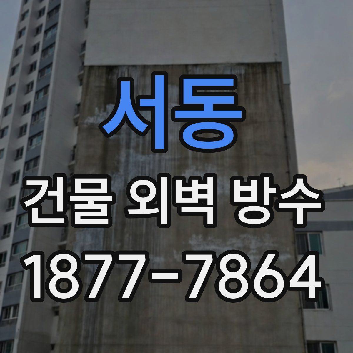 서동 건물 외벽 방수