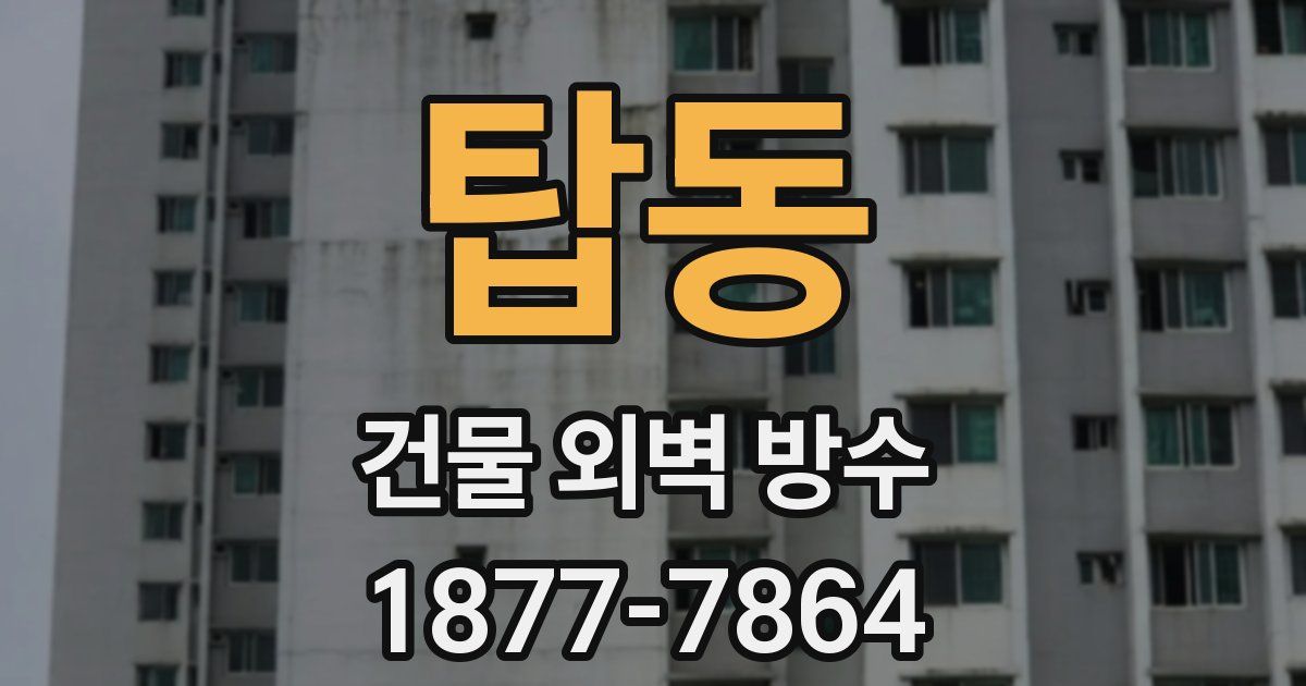 탑동 건물 외벽 방수