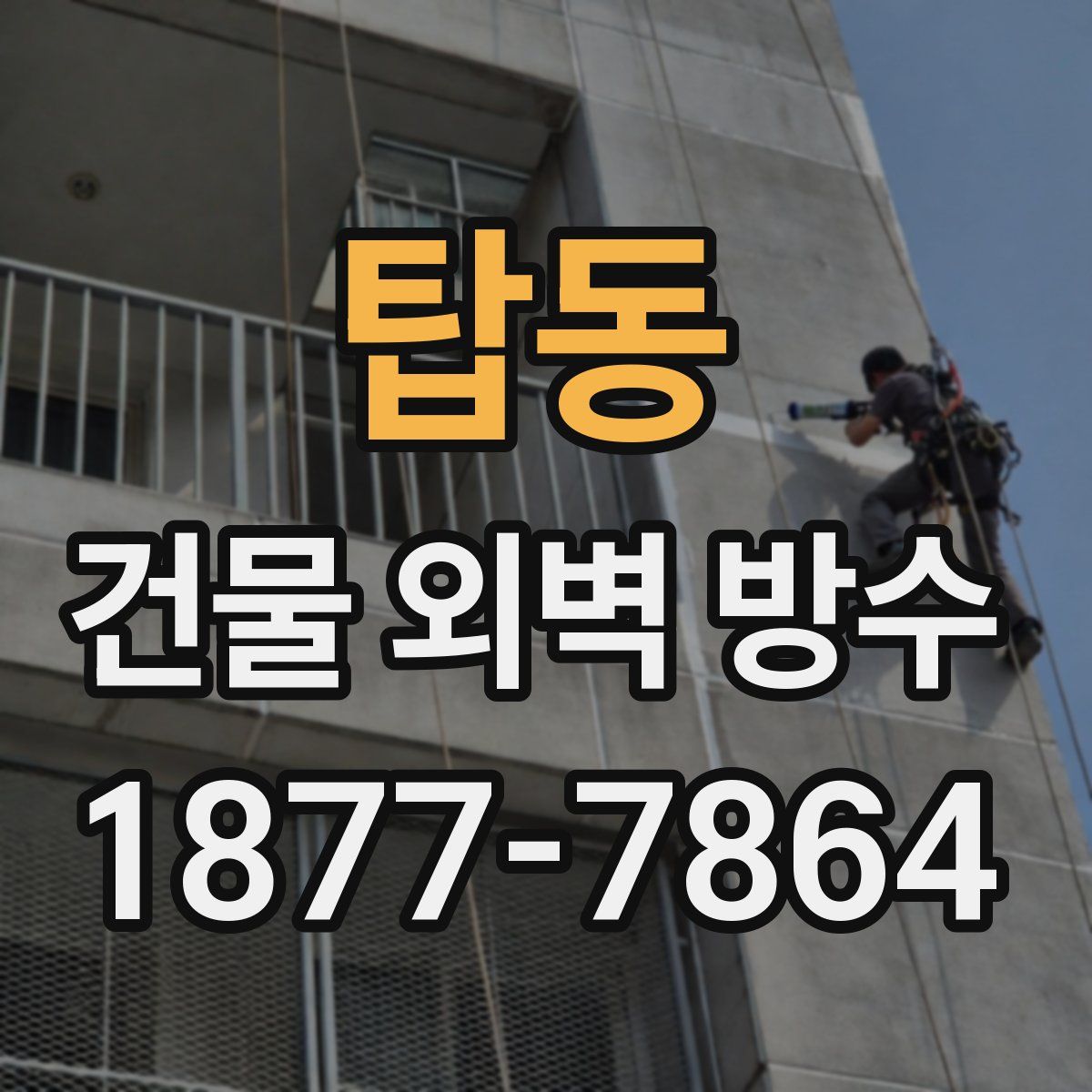 탑동 건물 외벽 방수