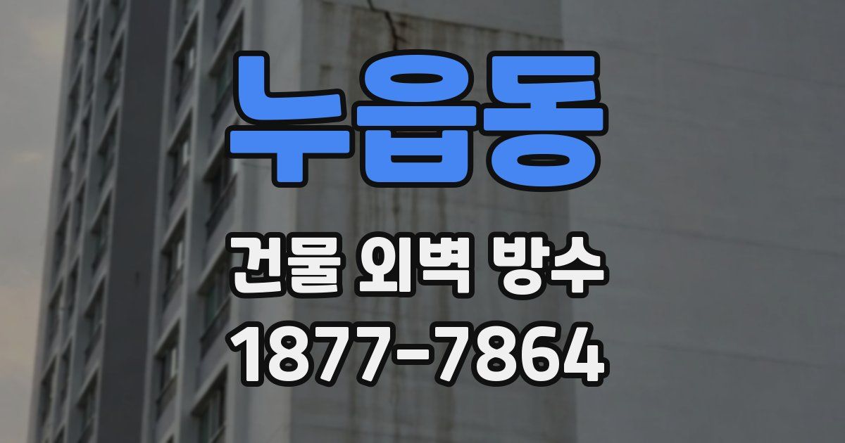 누읍동 건물 외벽 방수