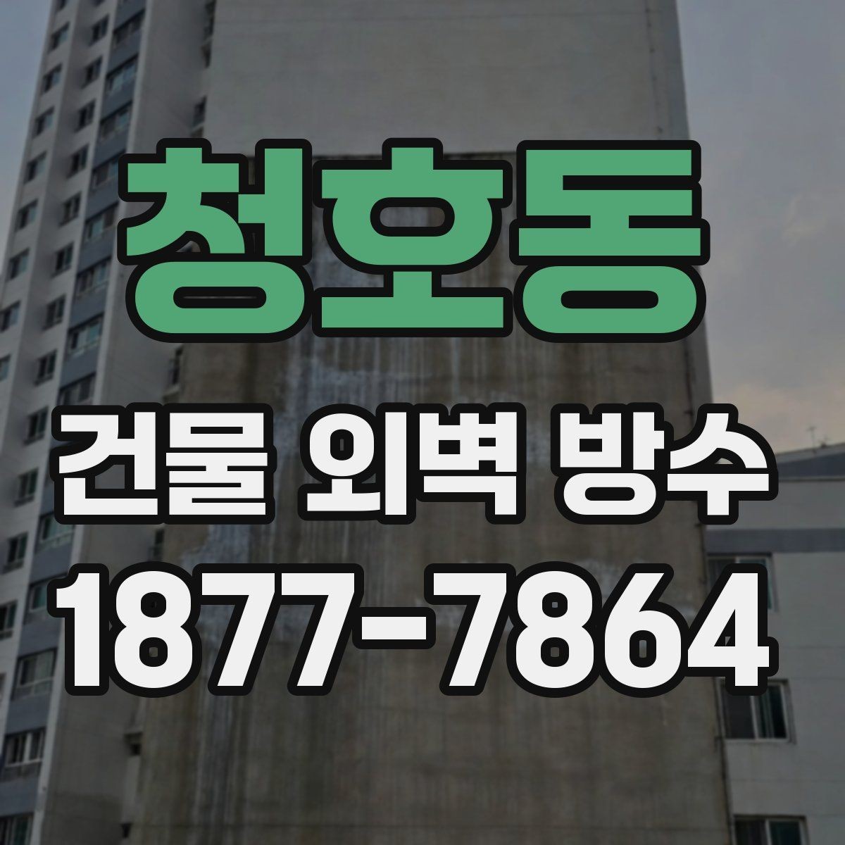 청호동 건물 외벽 방수 업체와 상담할 때 준비할 사진