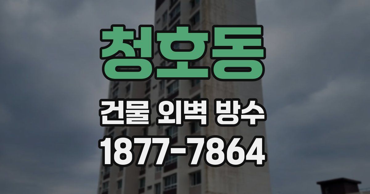 청호동 건물 외벽 방수
