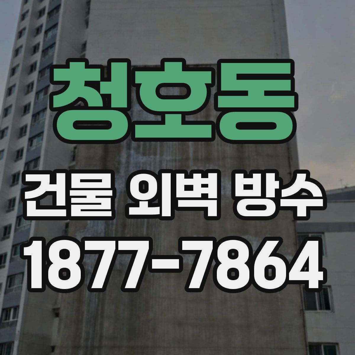 청호동 건물 외벽 방수