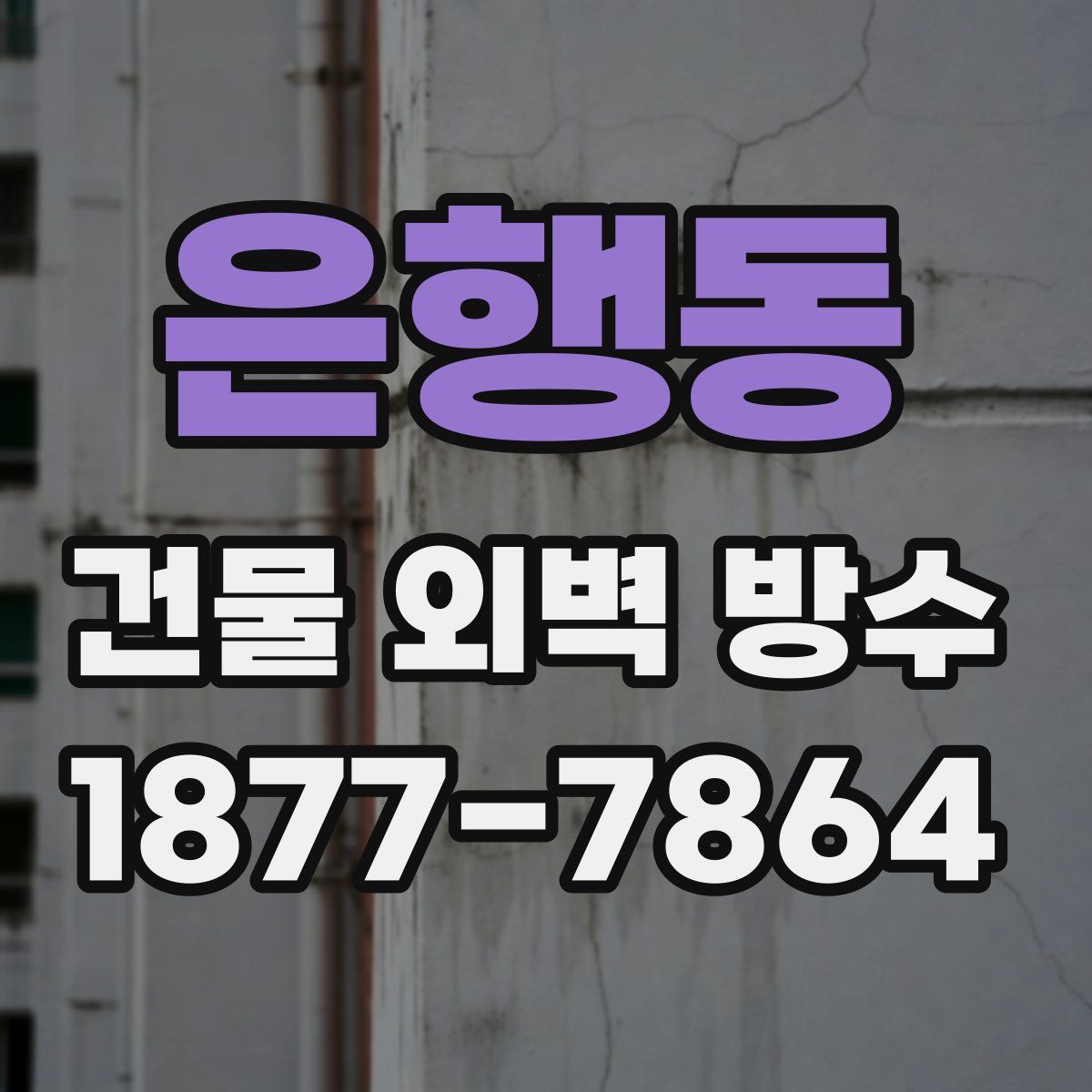 은행동 건물 외벽 방수