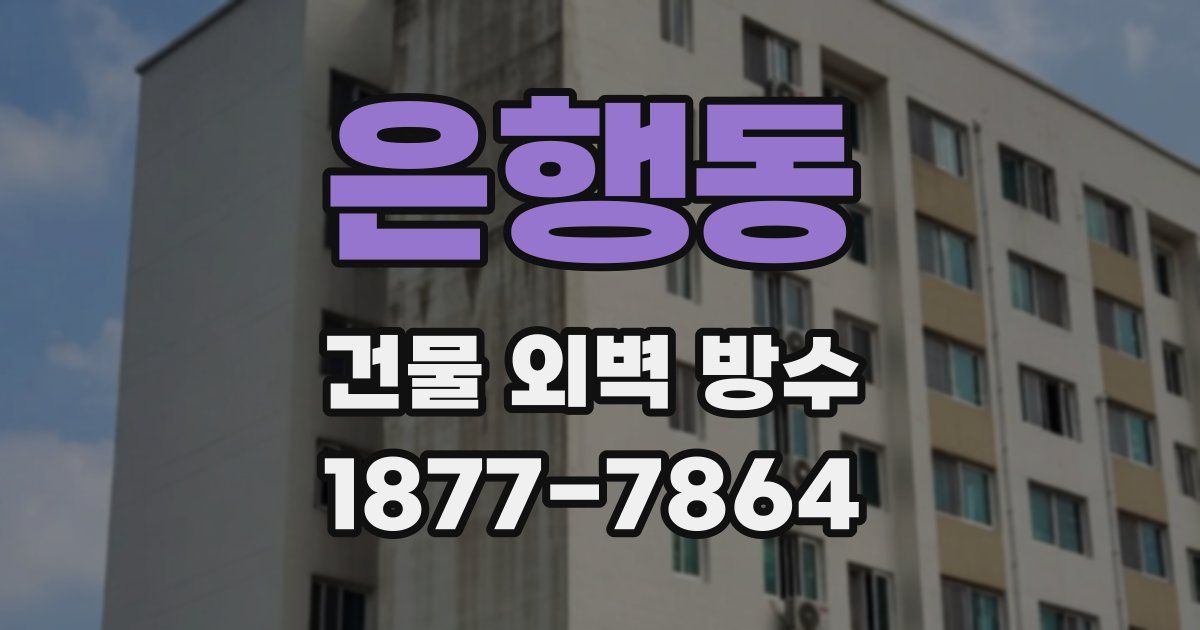 은행동 건물 외벽 방수