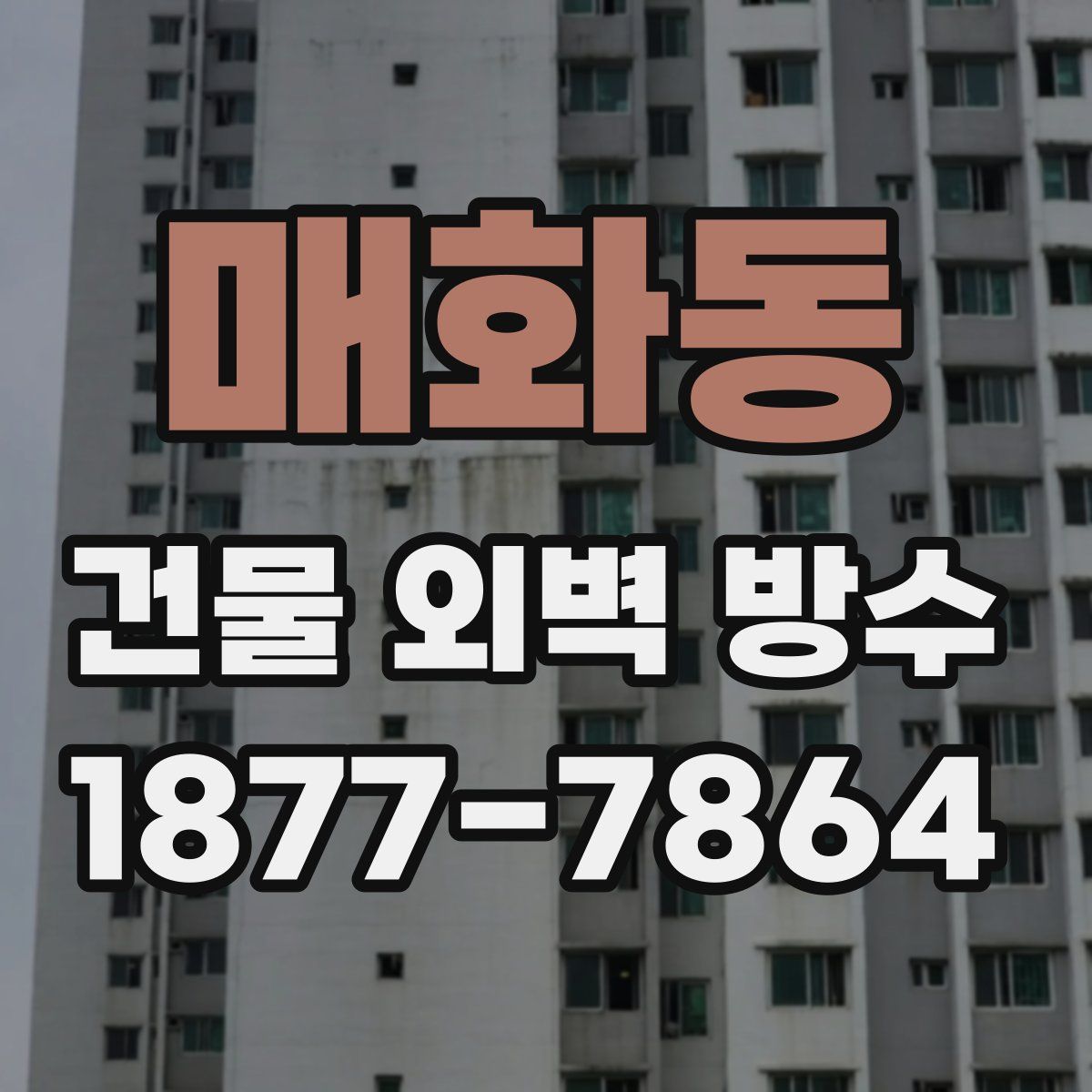 매화동 건물 외벽 방수
