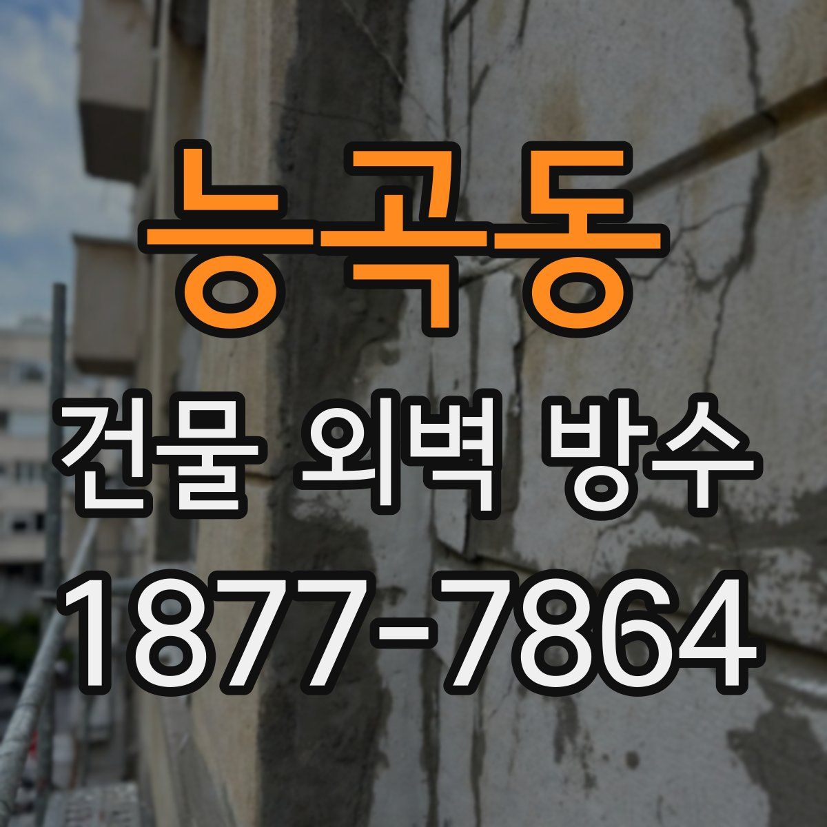 능곡동 건물 외벽 방수