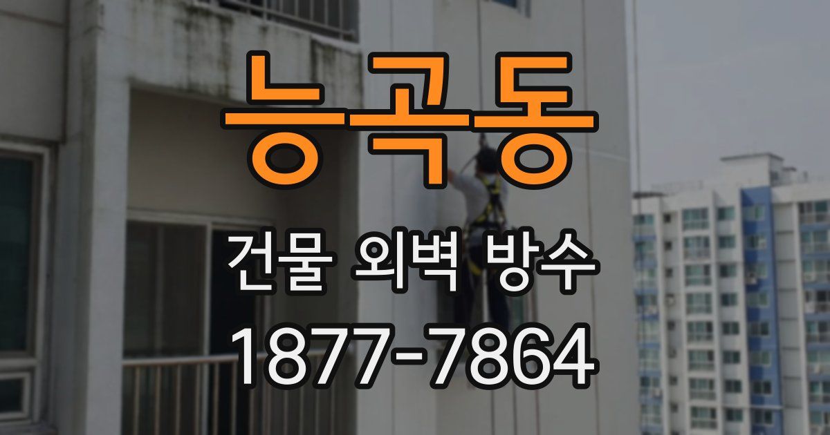 능곡동 건물 외벽 방수