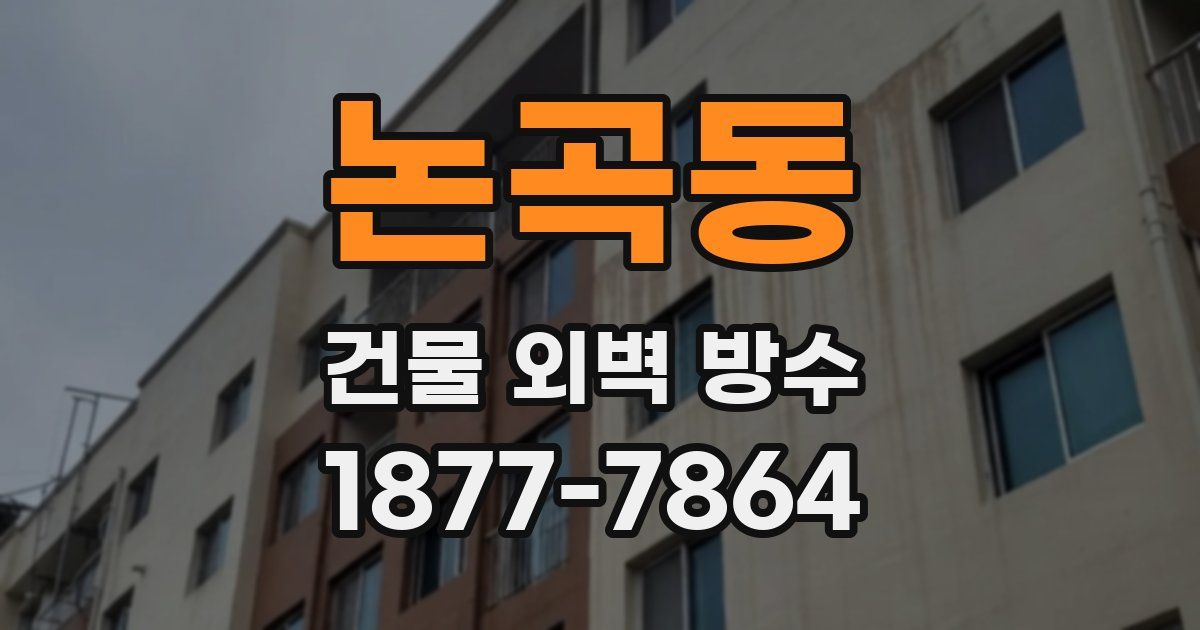 논곡동 건물 외벽 방수