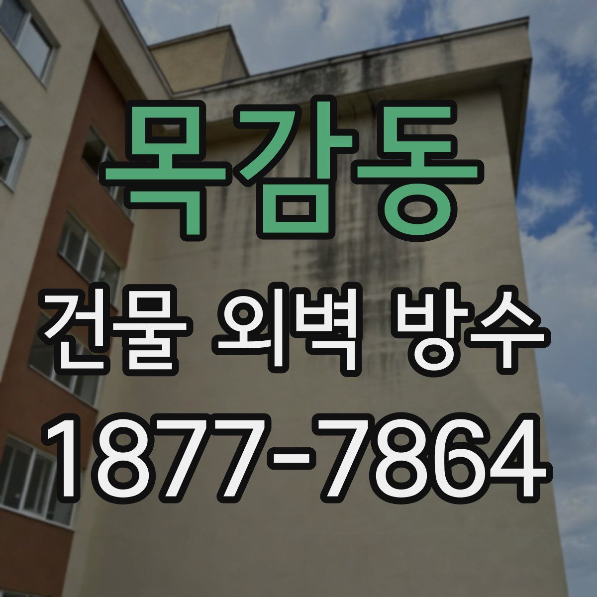 목감동 건물 외벽 방수