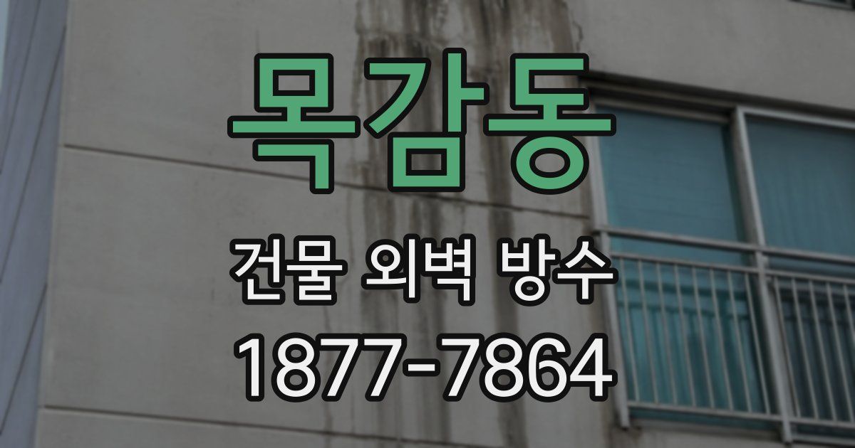 목감동 건물 외벽 방수