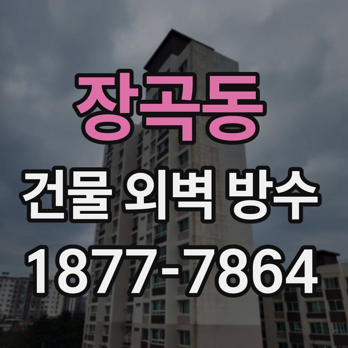 장곡동 건물 외벽 방수
