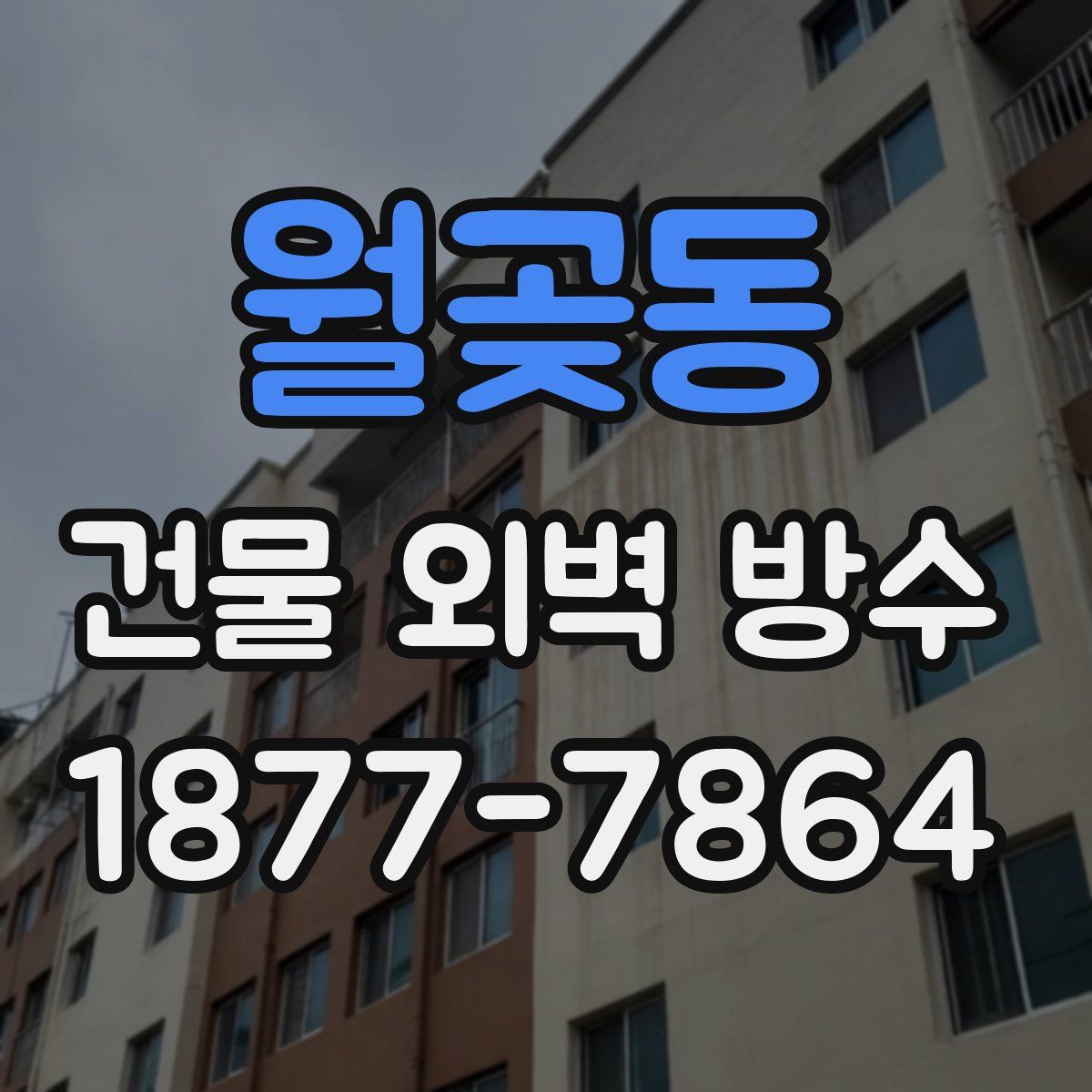 월곶동 건물 외벽 방수
