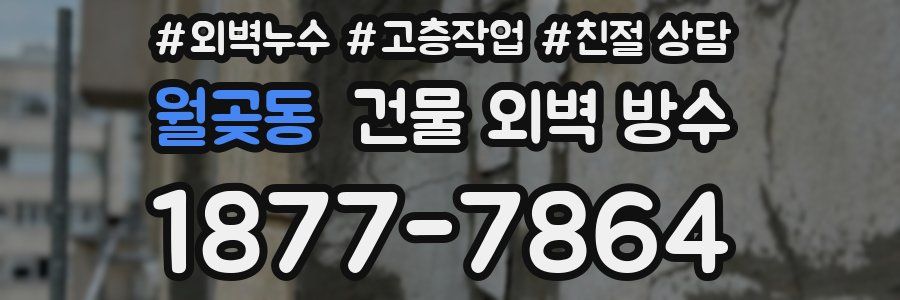 월곶동 건물 외벽 방수