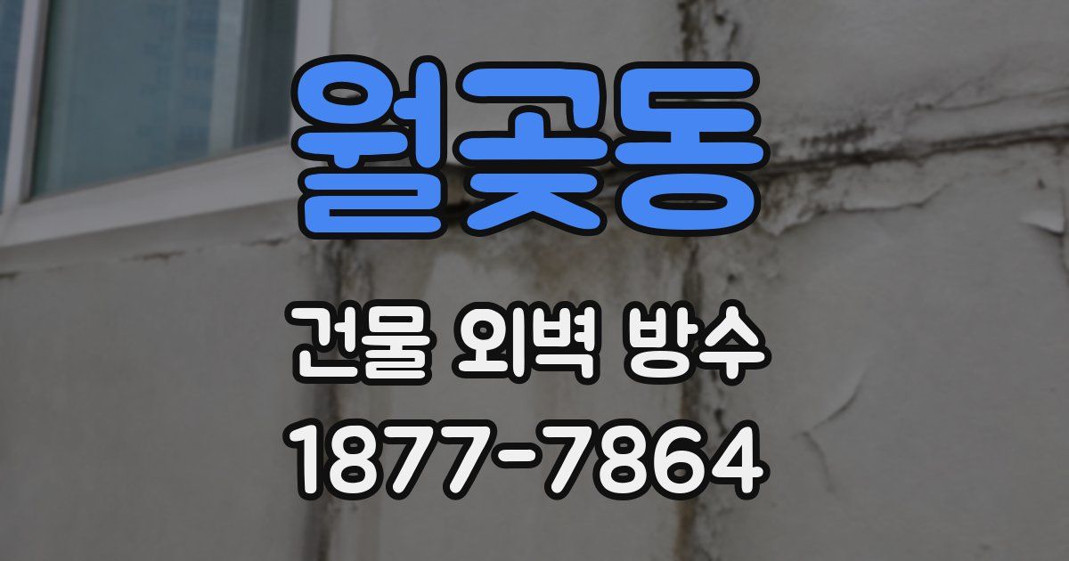 월곶동 건물 외벽 방수