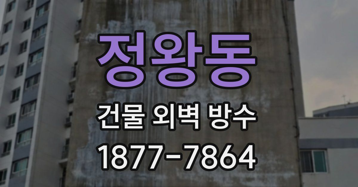 정왕동 건물 외벽 방수