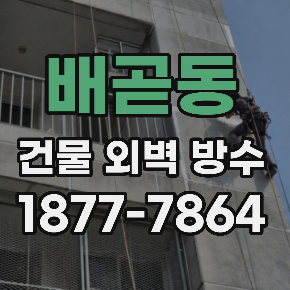 배곧동 건물 외벽 방수