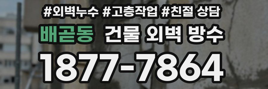 배곧동 건물 외벽 방수