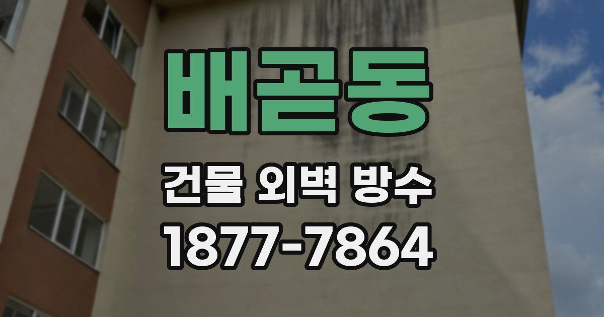 배곧동 건물 외벽 방수