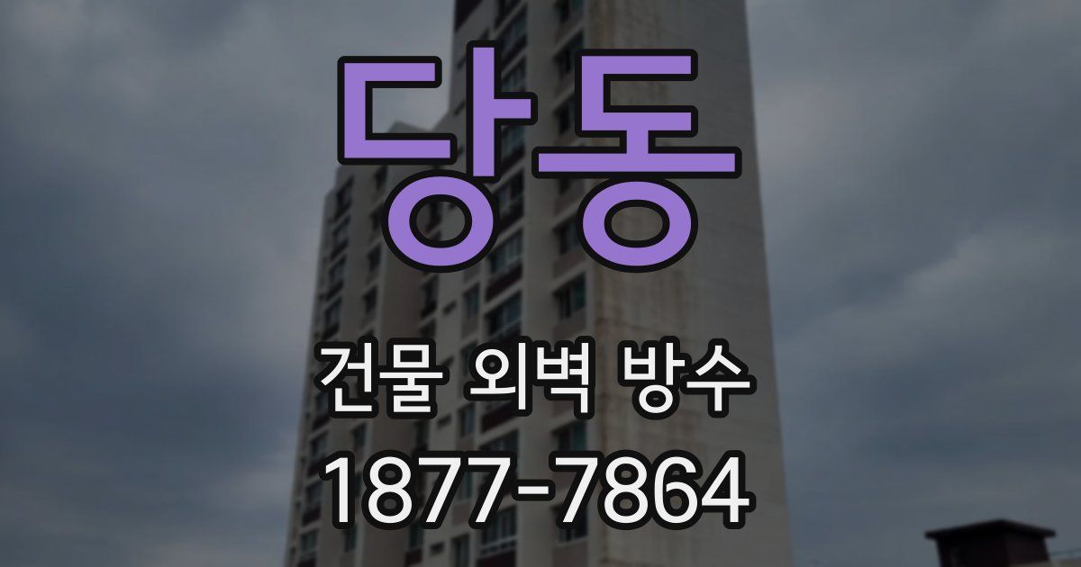 당동 건물 외벽 방수