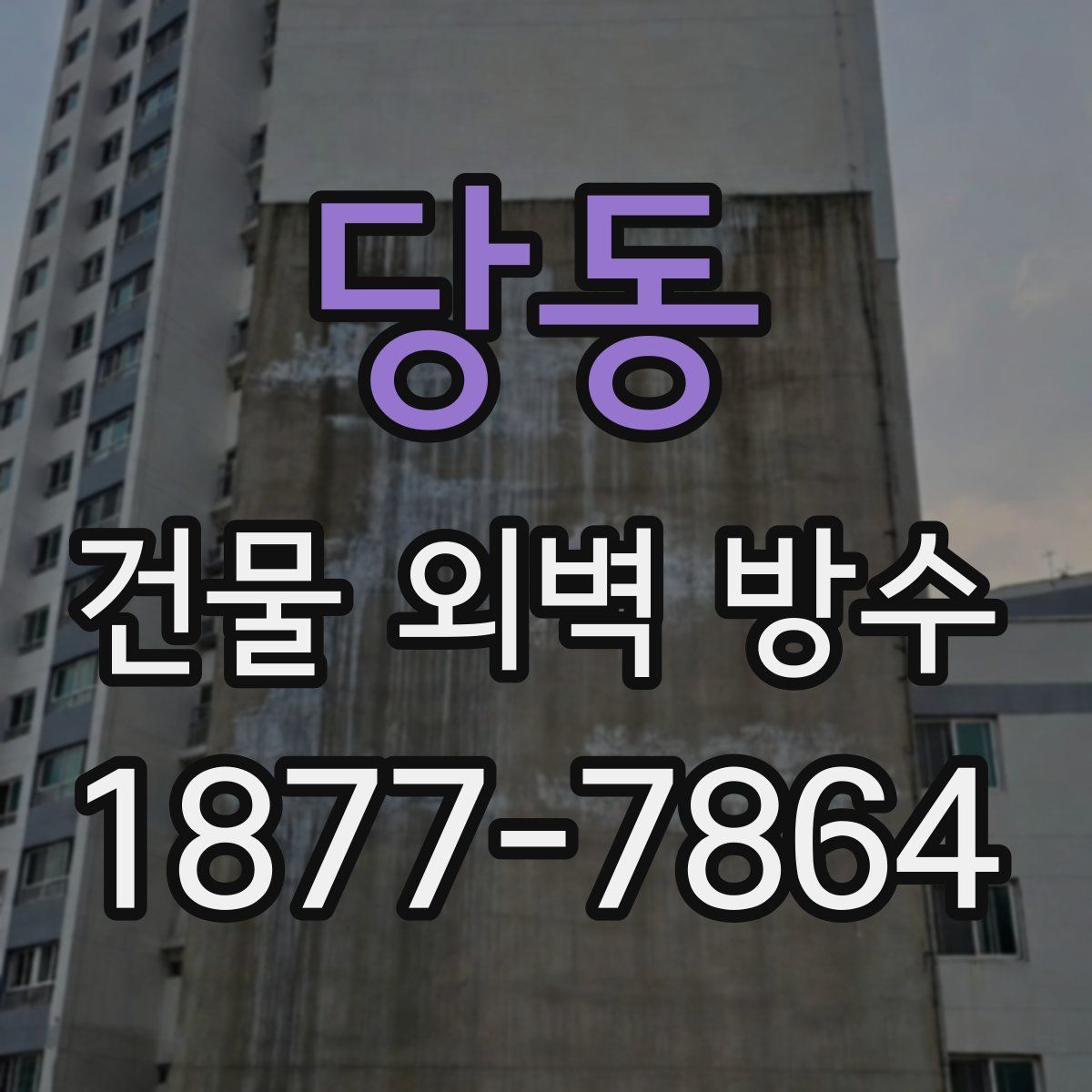 당동 건물 외벽 방수