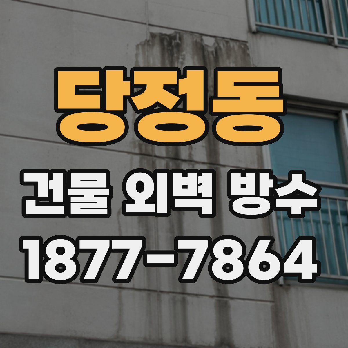 당정동 건물 외벽 방수