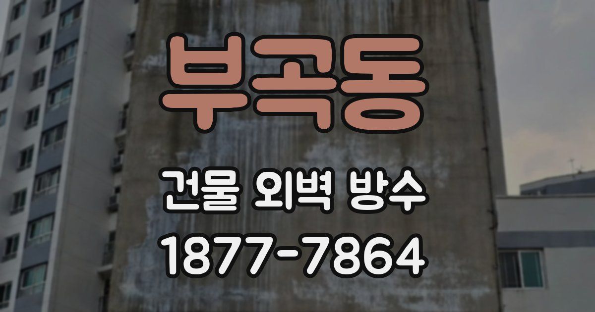 부곡동 건물 외벽 방수