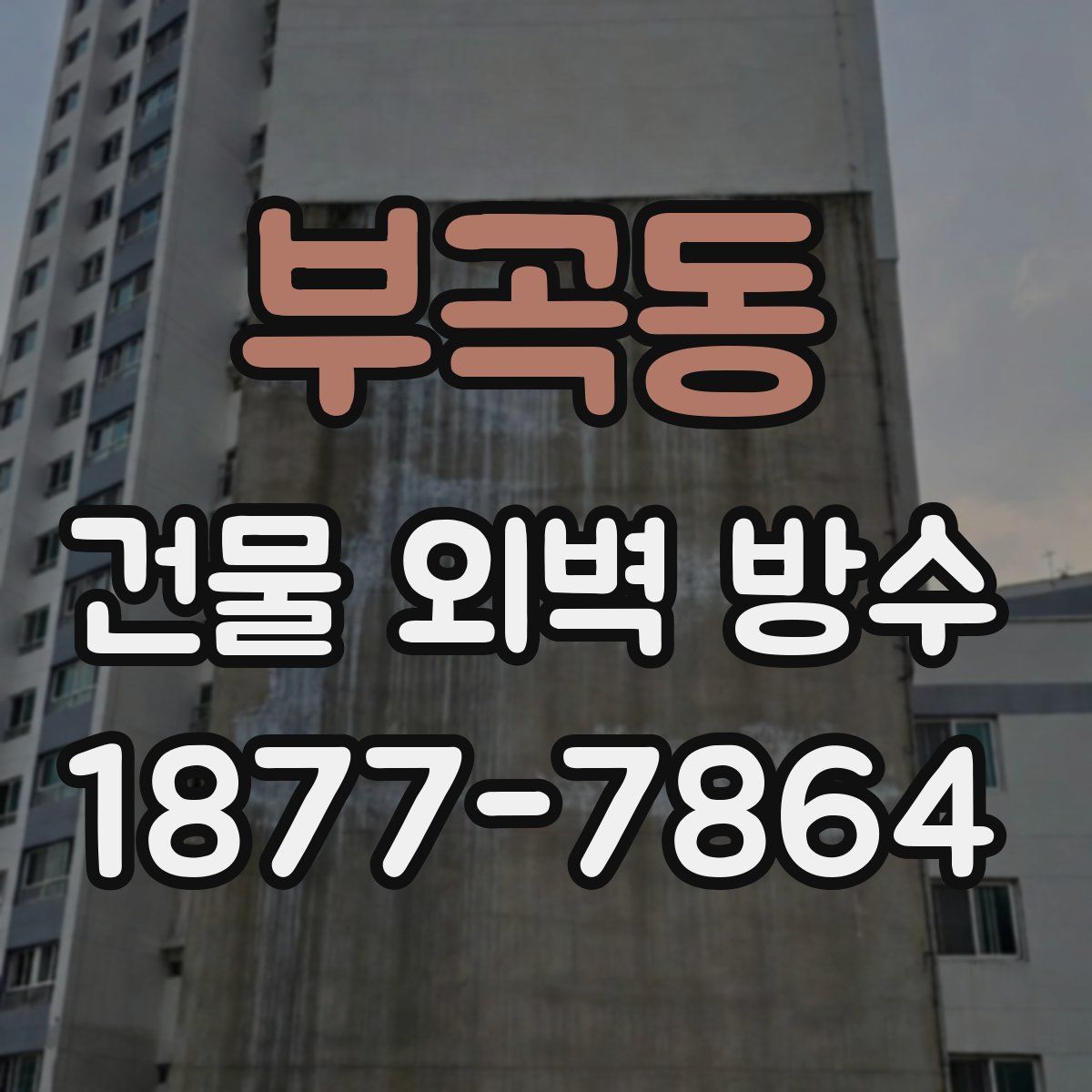 부곡동 건물 외벽 방수